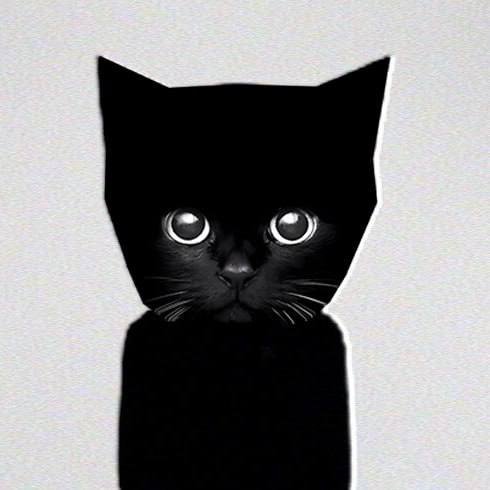 Kito